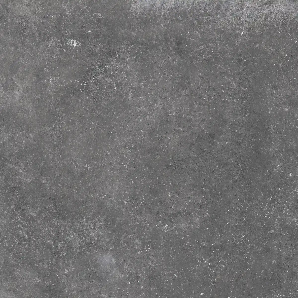 Blue Evolution Anthracite 60x60 cm